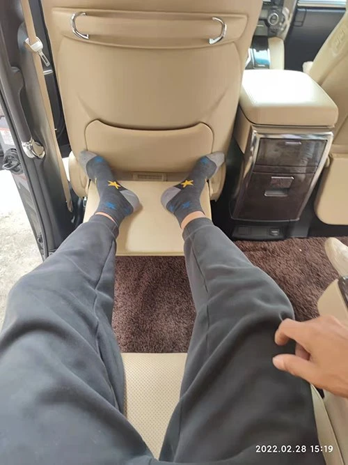 Alphard, Vellfire, Lexus adjustable front rear footrest 1