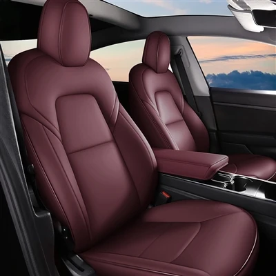 Gall Car Cyntaf Person Ifanc Fod yn Tesla